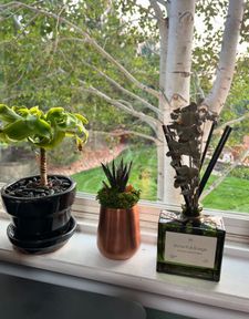 Instagram post by @redmugdreams