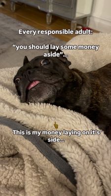Instagram post by @reggie_my_wedgie