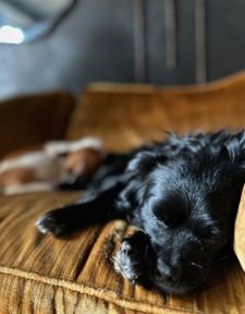 Instagram post by @renewbyangel