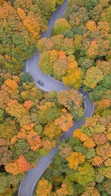 Instagram post by @roamingfreerebecca