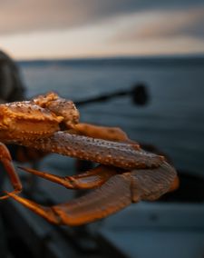 Instagram post by @roamwild_