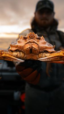 Instagram post by @roamwild_