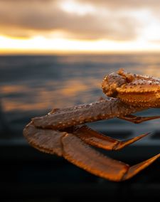 Instagram post by @roamwild_