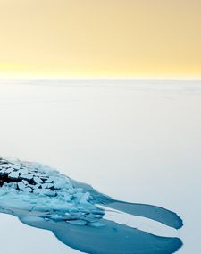 Instagram post by @roamwild_