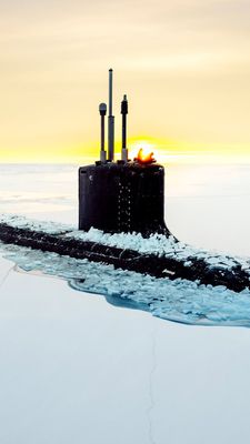 Instagram post by @roamwild_