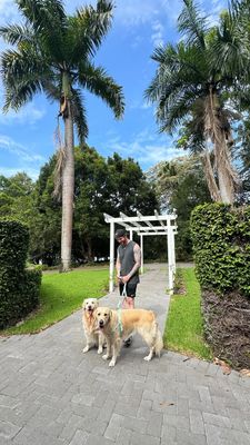 Instagram post by @rosieandharry