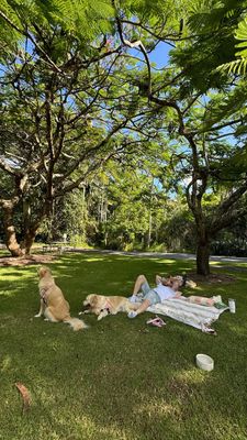 Instagram post by @rosieandharry