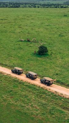 Instagram post by @runfromroutine