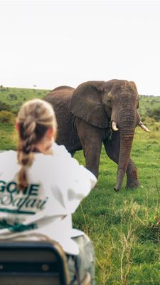 Instagram post by @runfromroutine