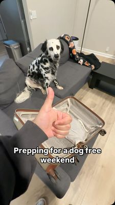 Instagram post by @ryderdalmatian