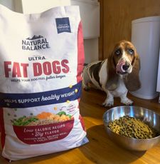 Instagram post by @sallylongdog