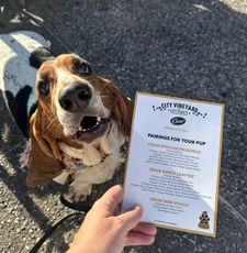 Instagram post by @sallylongdog