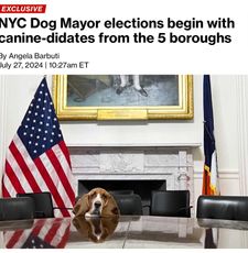 Instagram post by @sallylongdog