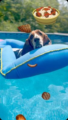 Instagram post by @sallylongdog