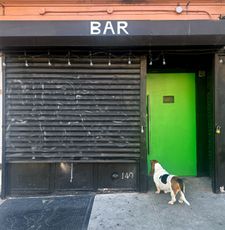 Instagram post by @sallylongdog