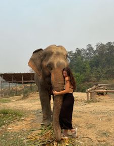 Instagram post by @sarahstruble