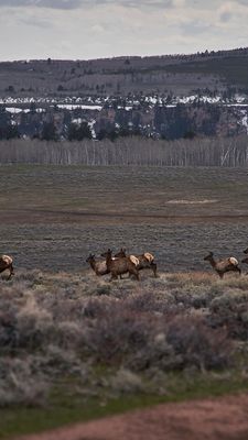 Instagram post by @savagelester