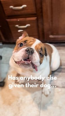 Instagram post by @savingstuart