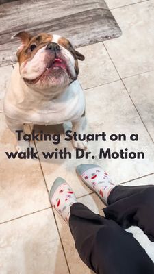 Instagram post by @savingstuart