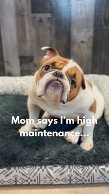 Instagram post by @savingstuart