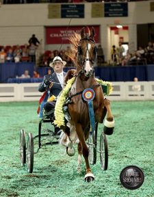 Instagram post by @scbphotography22