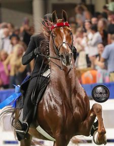 Instagram post by @scbphotography22