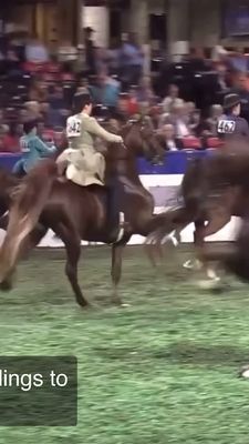 Instagram post by @scbphotography22