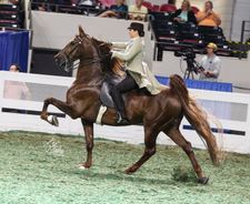 Instagram post by @scbphotography22