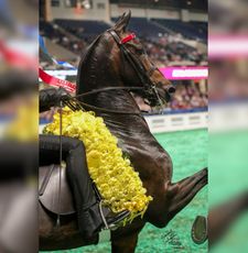 Instagram post by @scbphotography22