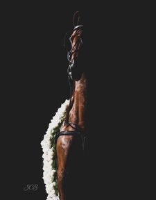 Instagram post by @scbphotography22