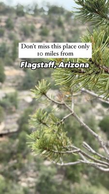 Instagram post by @selma_explores