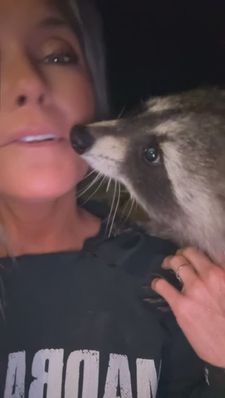 Instagram post by @shanalester