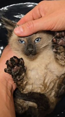 Instagram post by @shawnamarie20