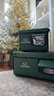 Instagram post by @shawnamarie20