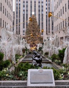 Instagram post by @shelleyhoh_