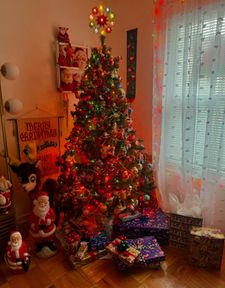 Instagram post by @shinybritedoggo