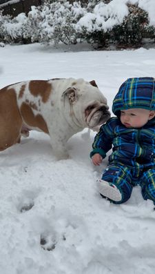 Instagram post by @sir.meatball