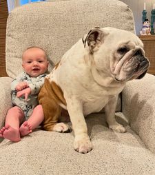 Instagram post by @sir.meatball