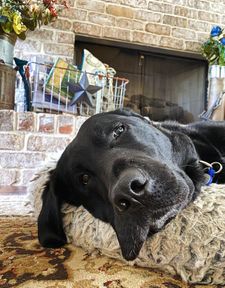 Instagram post by @slpearsall