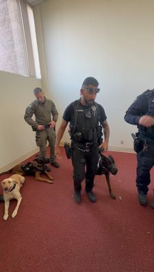 Instagram post by @spectrumk9