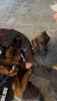 Instagram post by @spectrumk9