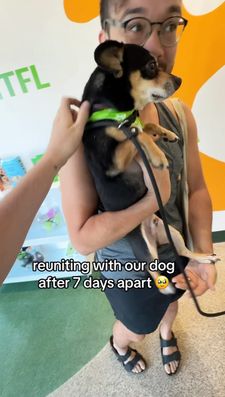 Instagram post by @stayathomegays