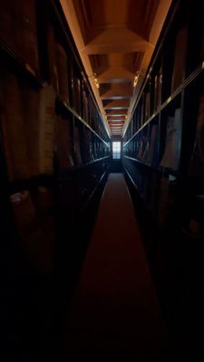 Instagram post by @steinovefenne