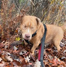 Instagram post by @stevie_wondie