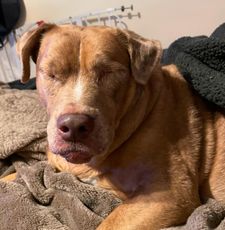 Instagram post by @stevie_wondie