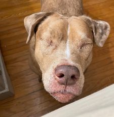 Instagram post by @stevie_wondie