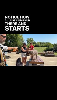 Instagram post by @stonniedennis