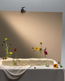 Instagram post by @studiomariion