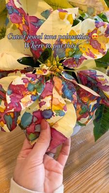 Instagram post by @subtlyextravibes