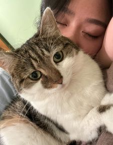 Instagram post by @suki_purrs